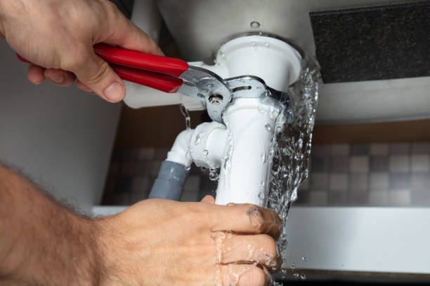 Best 24/7 water damage repair  in Williamson, WV