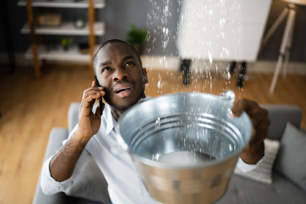 Best Sewage cleanup and water damage restoration  in Williamson, WV