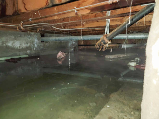 Best 24-hour water damage restoration  in Williamson, WV
