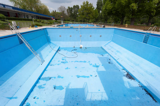 Best Basement water damage restoration  in Williamson, WV