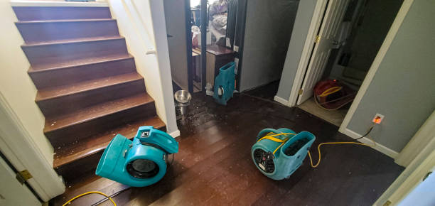  Williamson, WV Water damage restoration Pros