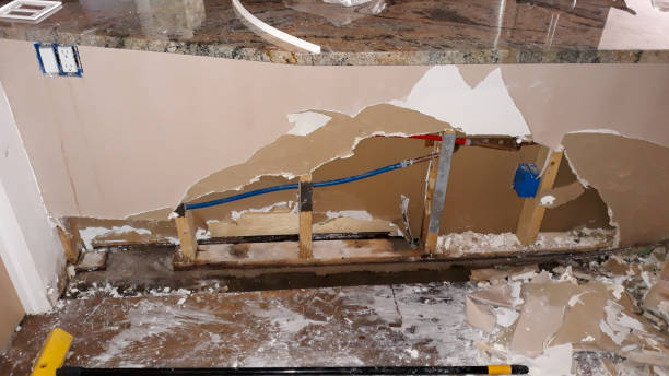 Best Local water damage restoration  in Williamson, WV