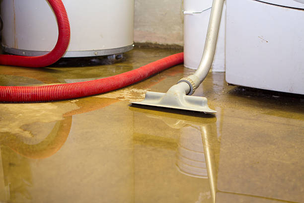 Best Commercial water damage restoration  in Williamson, WV