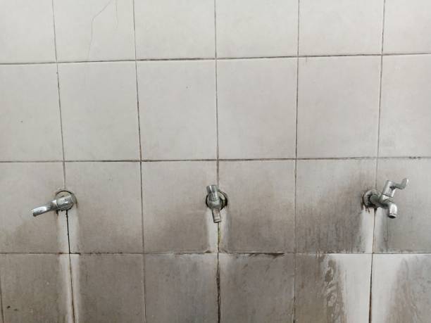 Best Water damage cleanup near me  in Williamson, WV