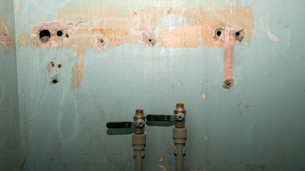 Best Flood damage cleanup  in Williamson, WV