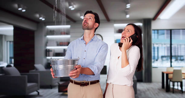 Best Mold removal after water damage  in Williamson, WV